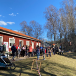 De bytte scroll mot skog